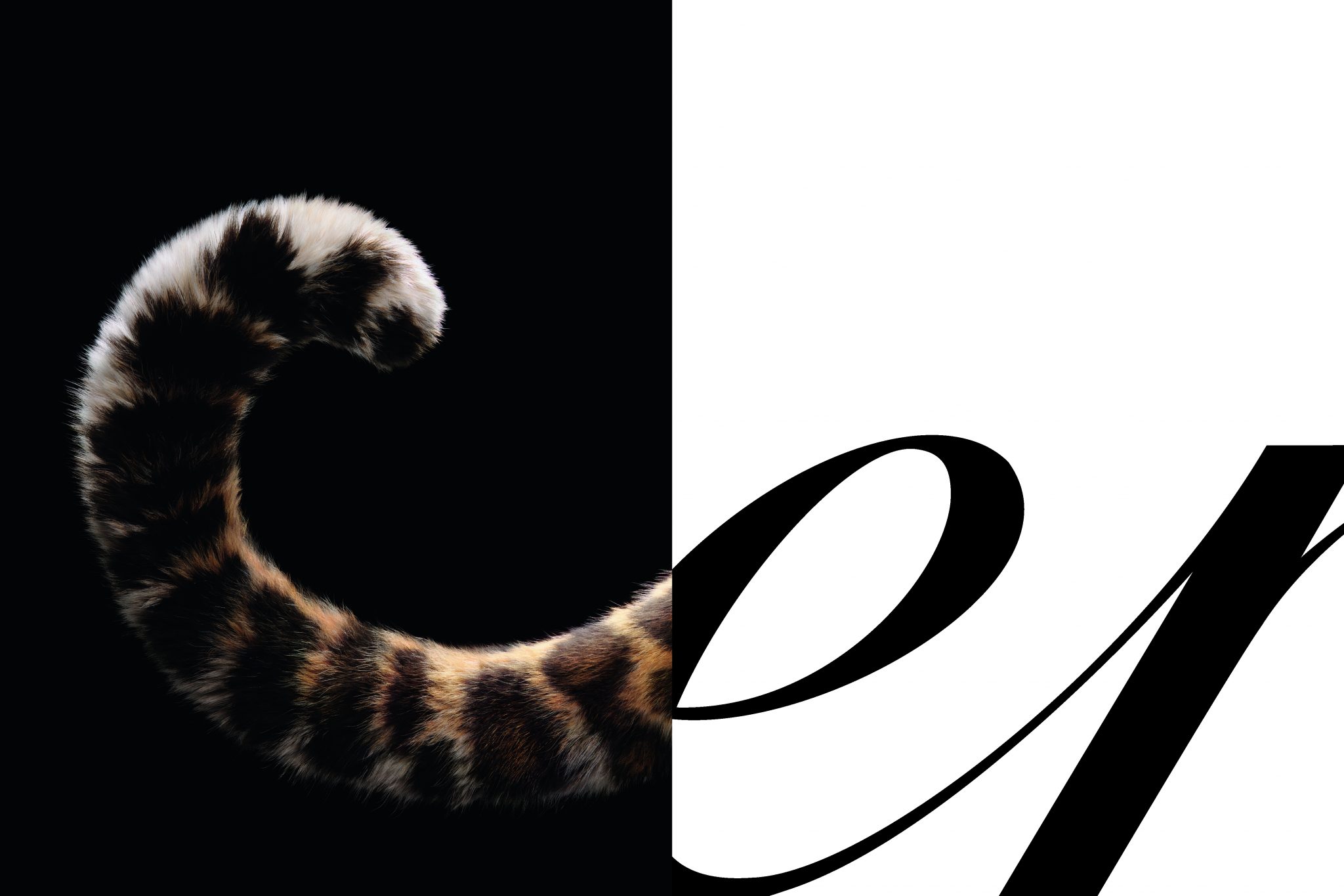 Cartier Posts Cartier Celebrates the Panther in Style Under the Open Sky