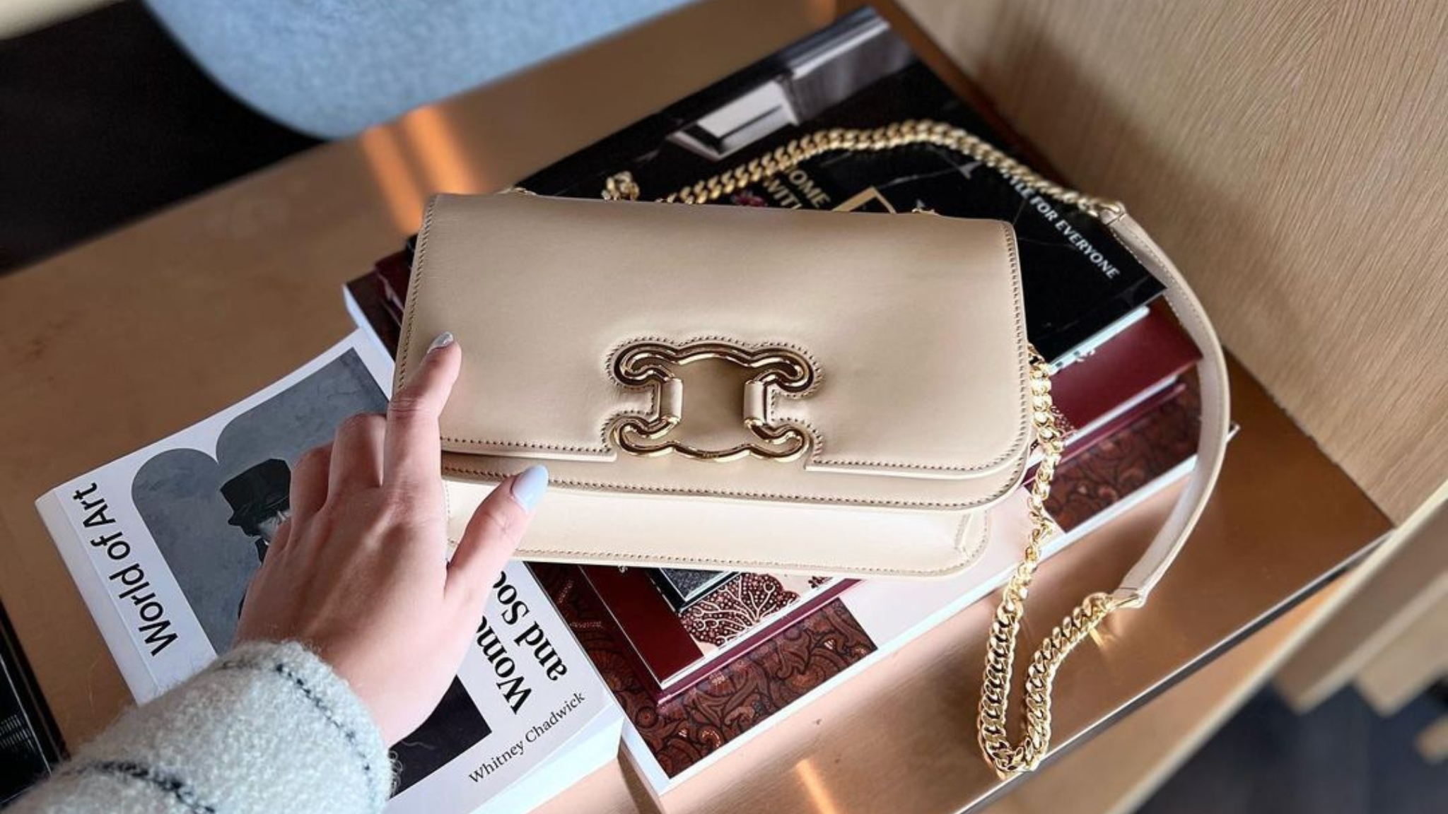 celine bag 2020