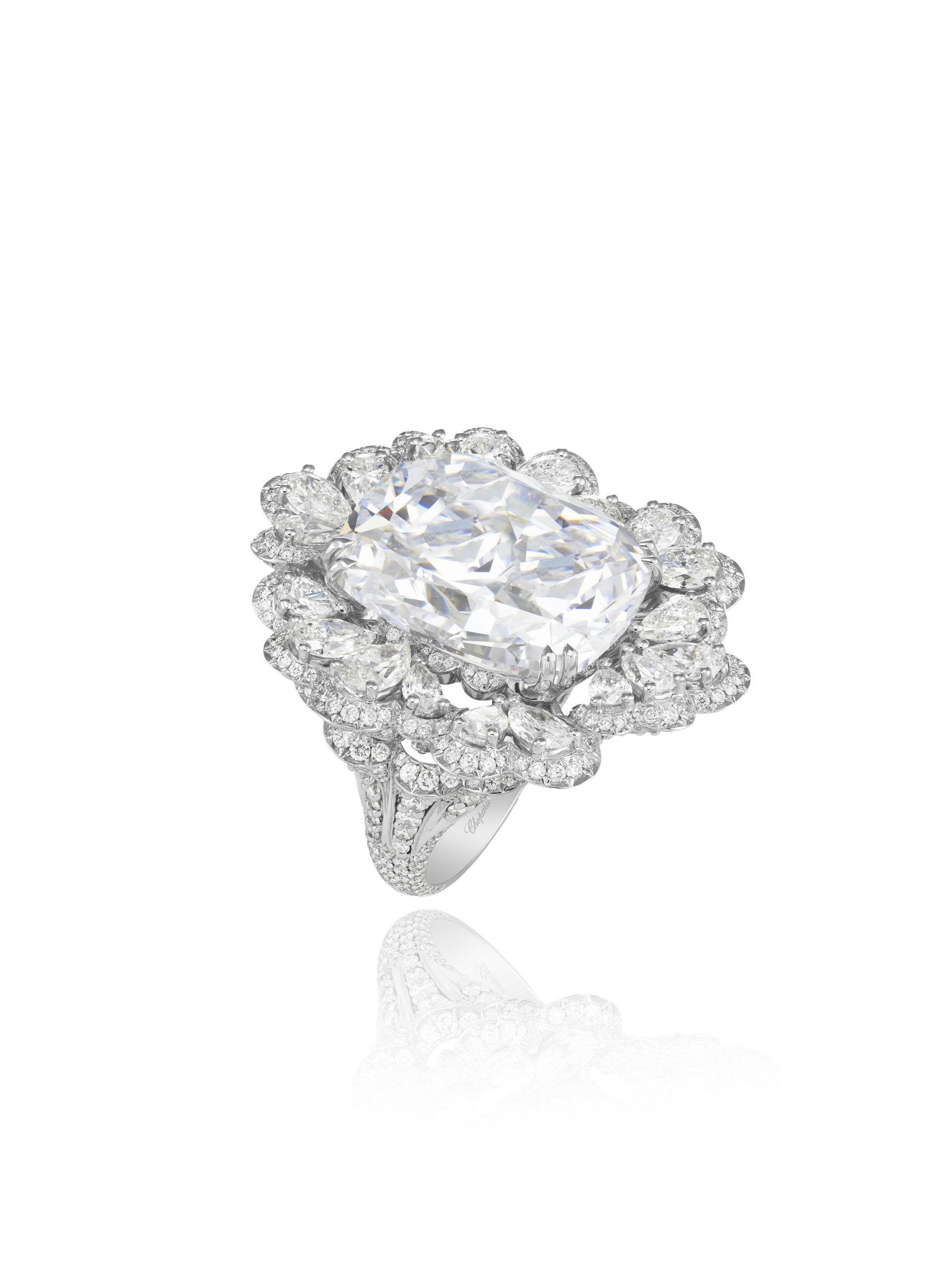 Garden of Kalahari Collection 820985-1001