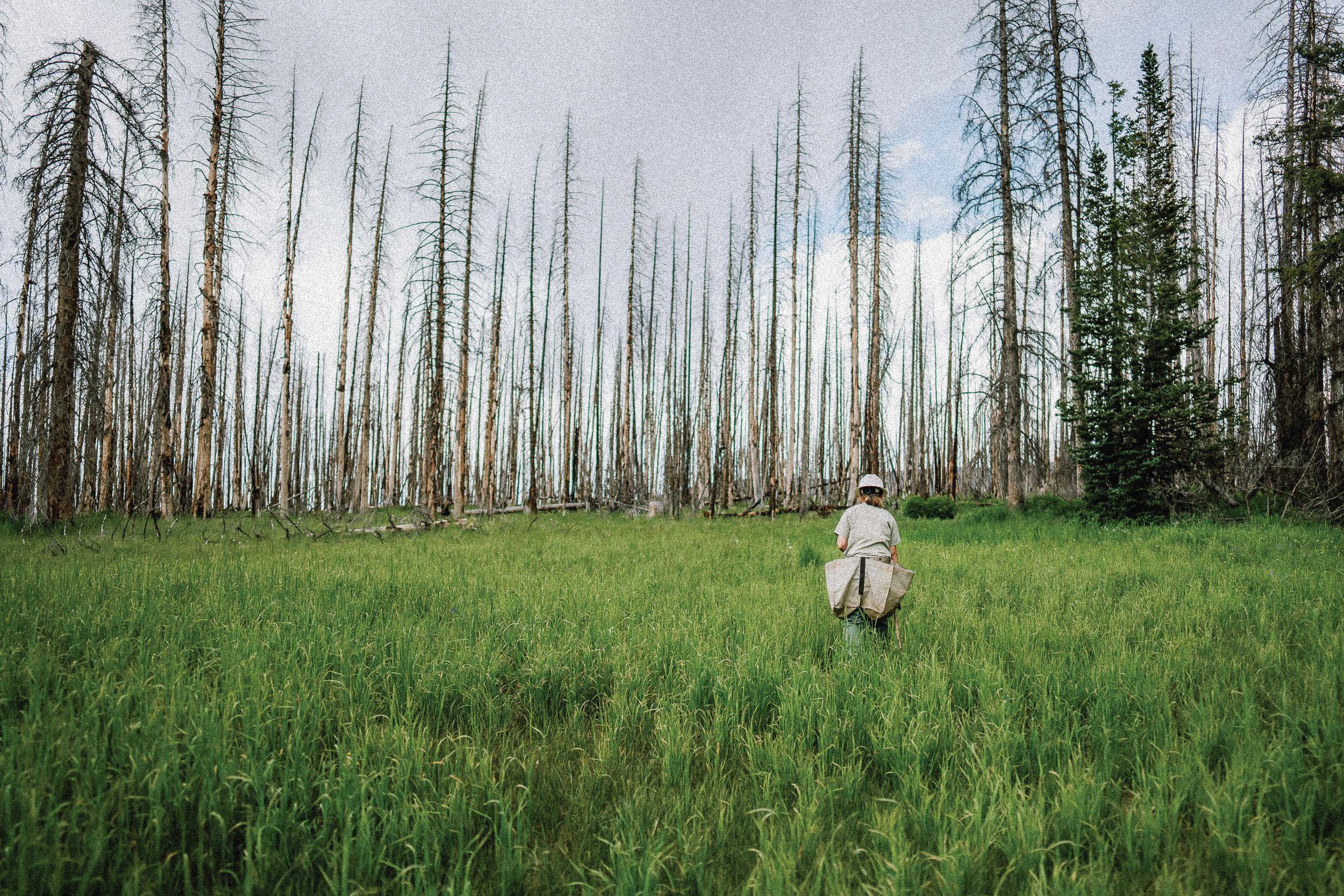 ZEGNA Launches “Oasi Zegna Global Initiatives” in Aspen