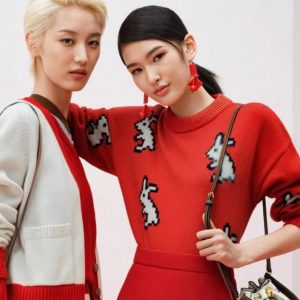 Tory Burch Limited Edition Lunar New Year Collection