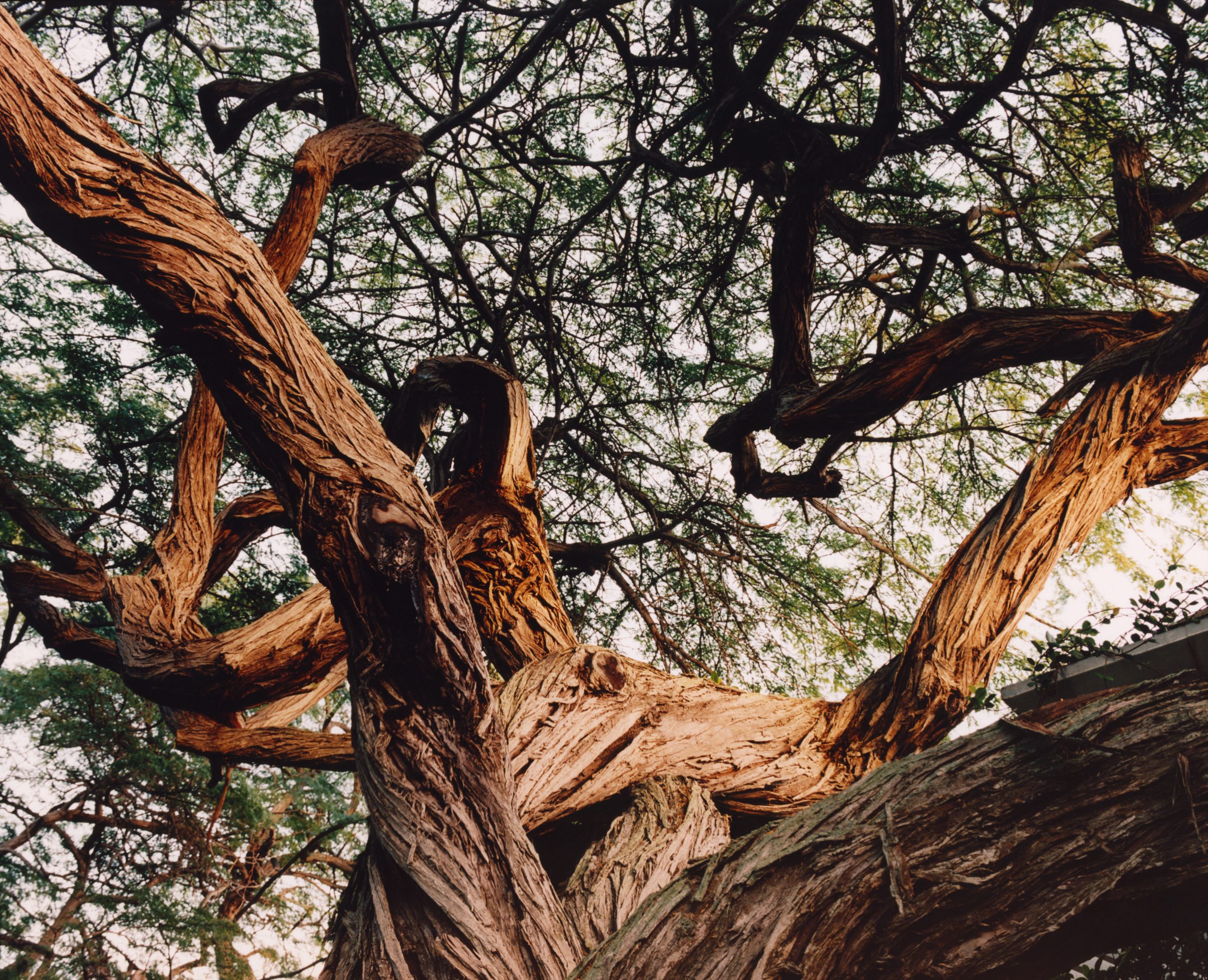 TB_SPR26_CAMPAIGN_ATMOSPHERE_SHOT_12_015