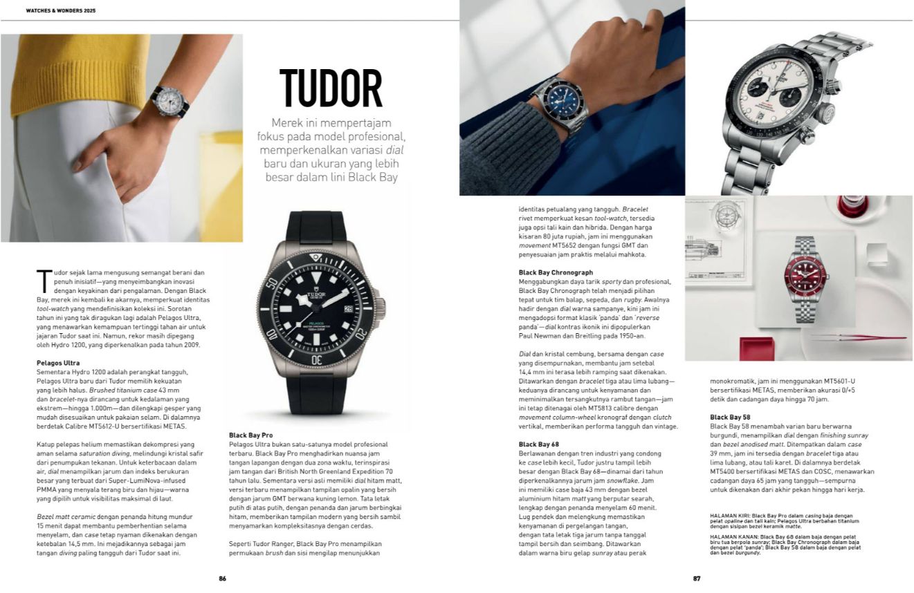 Tudor_!