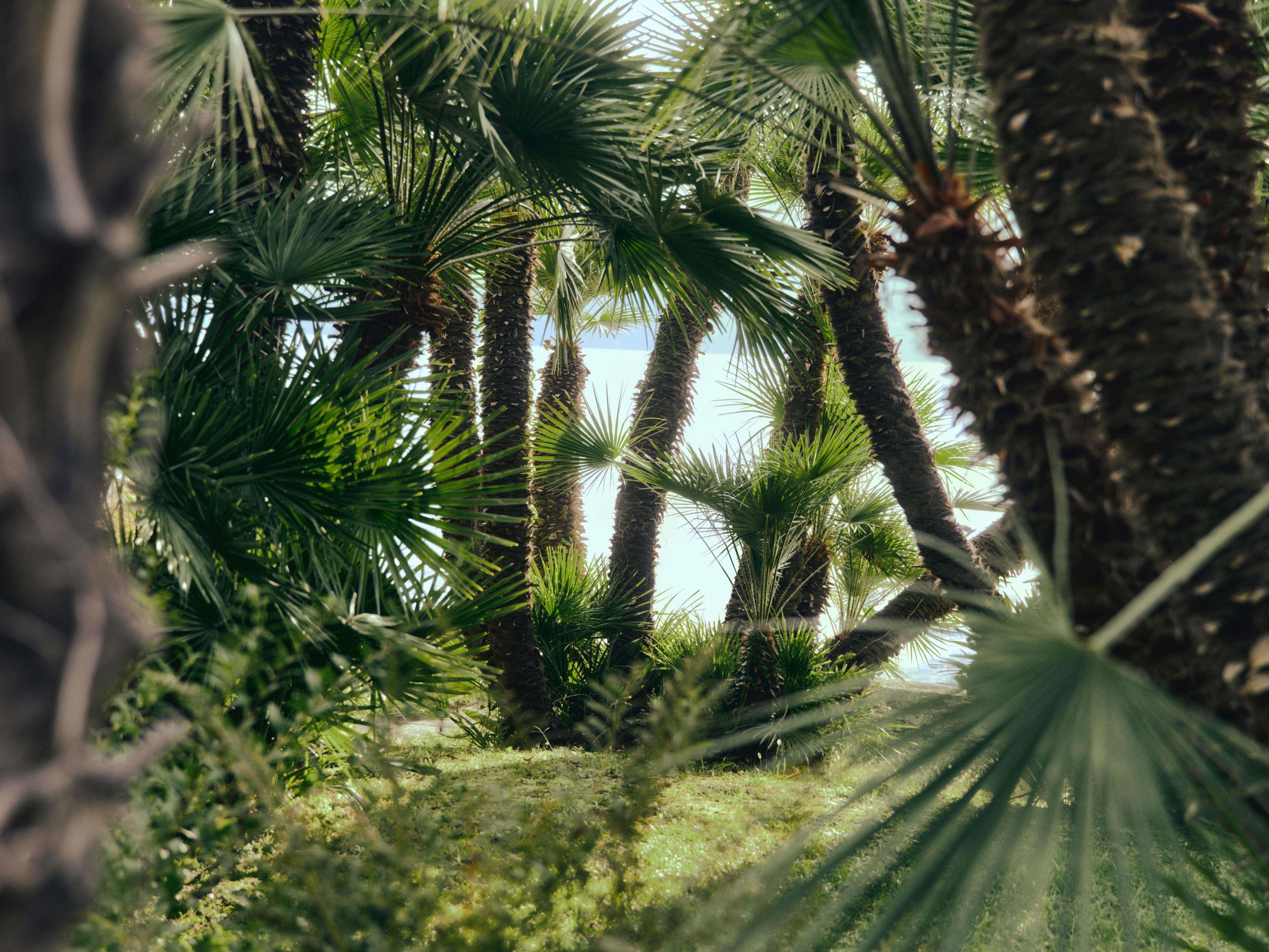 ZEGNA SUMMER 2026_MOOD & ATMOSPHERE (2)