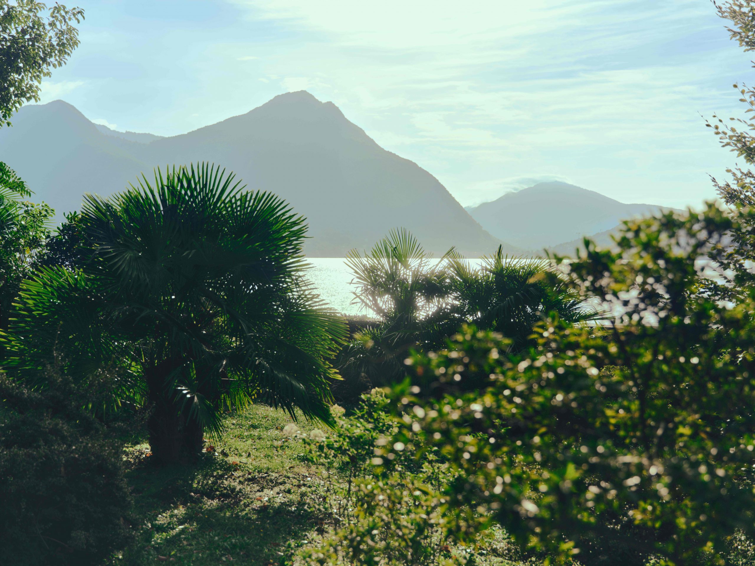 ZEGNA SUMMER 2026_MOOD & ATMOSPHERE (3)