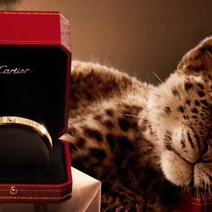 Cartier’s Festive Campaign Follows Baby Panthers on a Magical Adventure