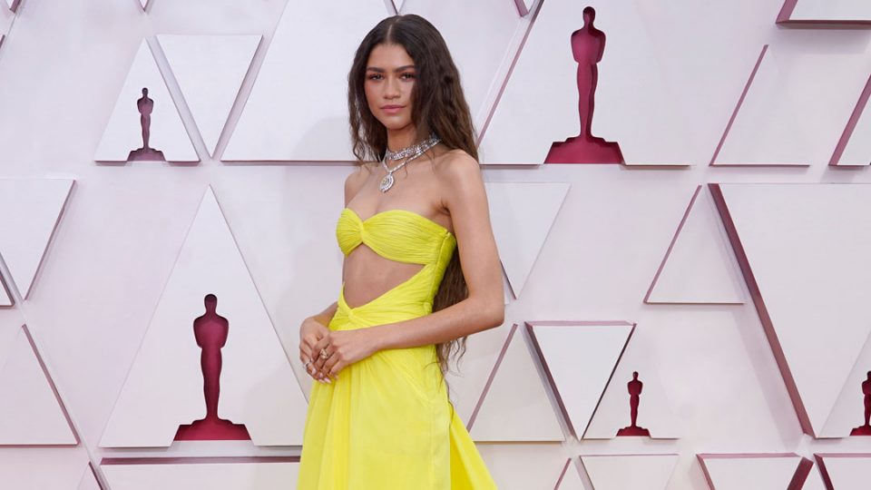 ZENDAYA oscars academy awards zendaya valentino