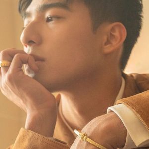 Edward Chen Shines Wearing the Piaget Possession Jewellery