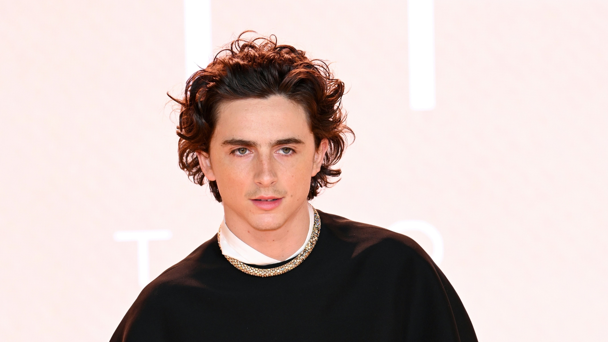 Timothée Chalamet wore Cartier to the Dune: Part Two Premiere